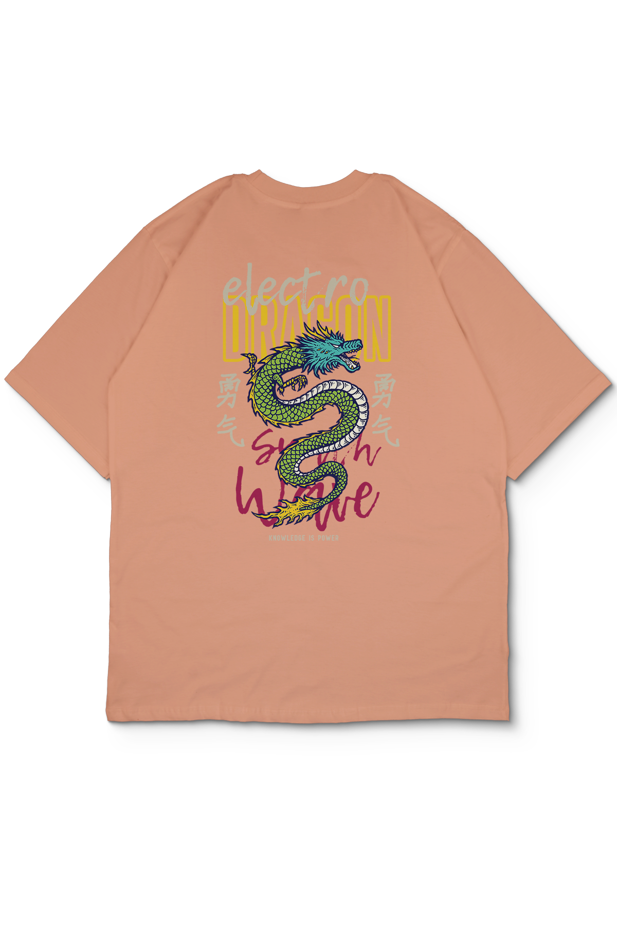 Electro Dragon Oversize Erkek Tişört